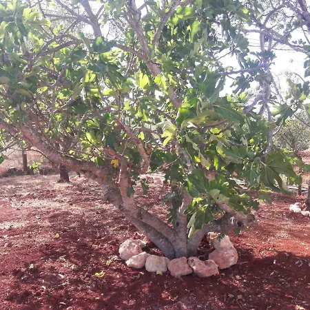 Quinta Cosy Holiday home Paderne (Faro)